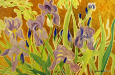 Iris Patch